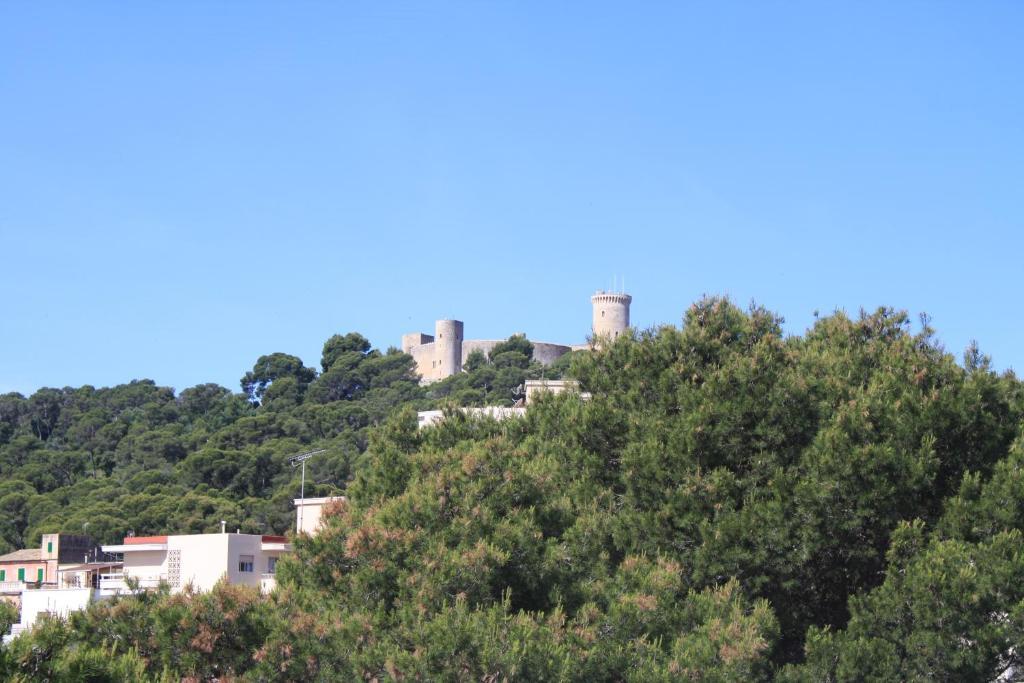Hostal Pinar PMI Buitenkant foto